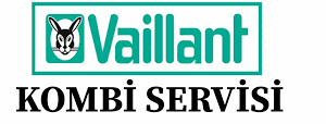 Vaillant Ecovit Kazan Arıza Kodları ve Çözümleri